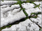 foto Parco nazionale del Burren